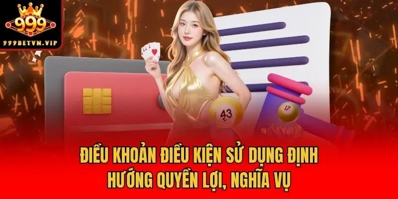 Điều khoản điều kiện sử dụng định hướng quyền lợi, nghĩa vụ